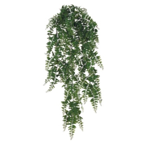 Buckler Fern - Greenery & Floral - bulk artificial hanging greenery rental